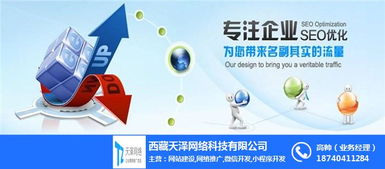 网络推广,拉萨微信程序开发,天泽网络 优质商家