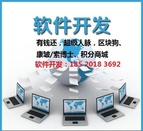 app开发 多门店管理系统开发软件