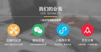 小程序开发价格 小程序开发 云派电商